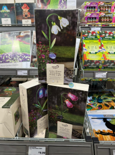 Aldi Garden Bright solar-powered stake lights in snowdrop, bluebell, and foxglove designs.