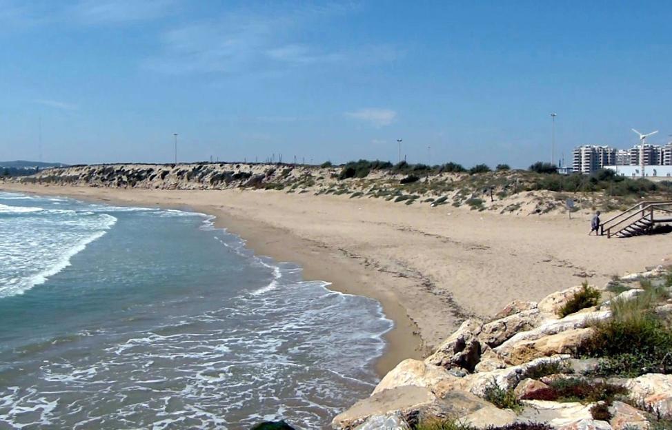 A sandy beach closed to swimmers due to dangerous sea creatures.