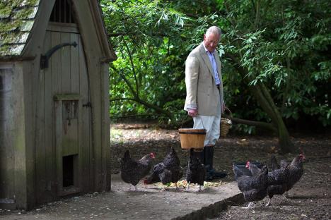 King Charles III feeding chickens at Highgrove House.