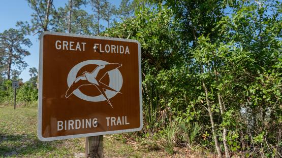 Great Florida Birding Trail sign.