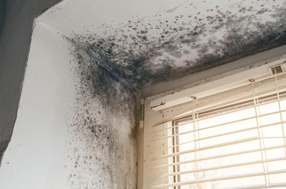 Avoid window condensation and mould this winter with house ‘burping’ method