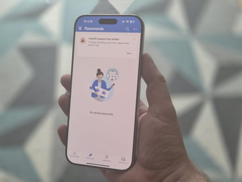 Smartphone displaying a message that autofill support has ended and that there are no saved passwords.