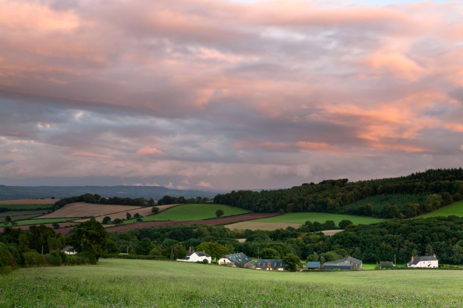 Pink and gray clouds over a patchwork of farm fields and houses.