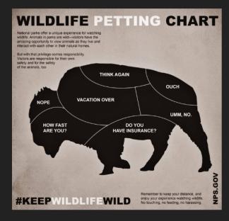 Illustration of a bison divided into sections, each with a phrase related to the consequences of approaching wildlife too closely.