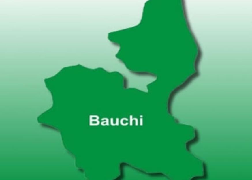 Bauchi stakeholders back gender policy to end out-of-school children menace