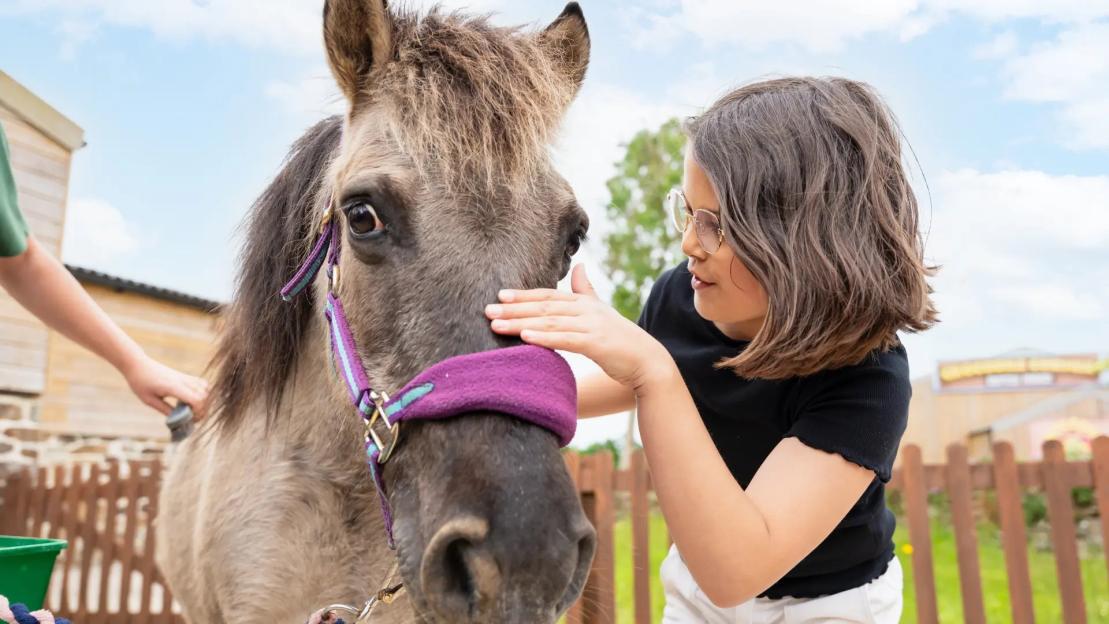 Girl petting a pony.