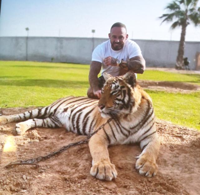 Man sitting with a chained tiger.