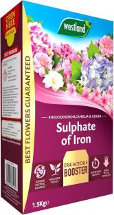 Westland Sulphate of Iron granules for rhododendrons, camellias, and azaleas.