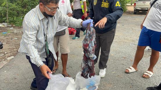 Police officers collecting evidence at a crime scene.