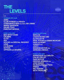 Glastonbury Silver Hayes music festival lineup.