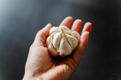 A hand holding a bulb of garlic.