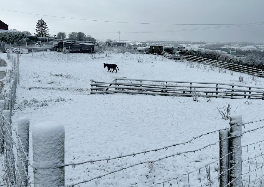 NINTCHDBPICT001058746072