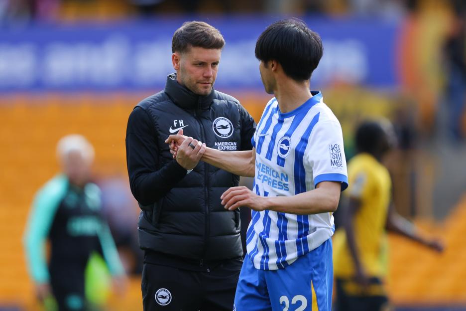 Wolverhampton Wanderers FC v Brighton & Hove Albion FC - Premier League