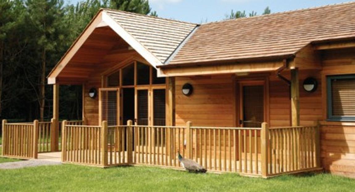 Wooden cabin with a peacock walking on the grass in front of the deck.