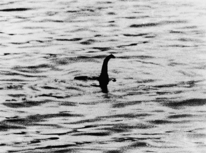 A black and white photograph of the Loch Ness Monster, a dark shape with a long neck, seen emerging from the water.