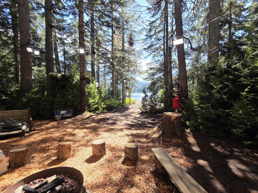 A campsite in a forest with a dirt path leading to a lake.