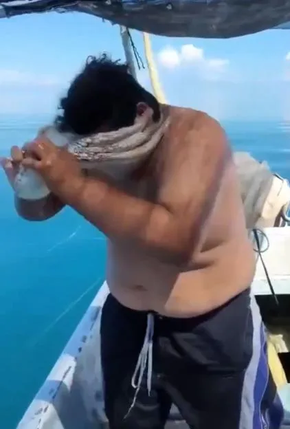 Terrifying moment octopus clings onto fisherman’s face as he desperately tries to pull it off