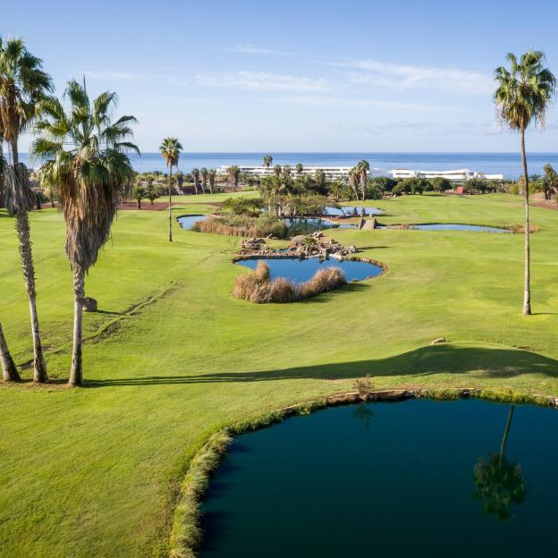 Costa Adeje golf course with the ocean and palm trees in the background.