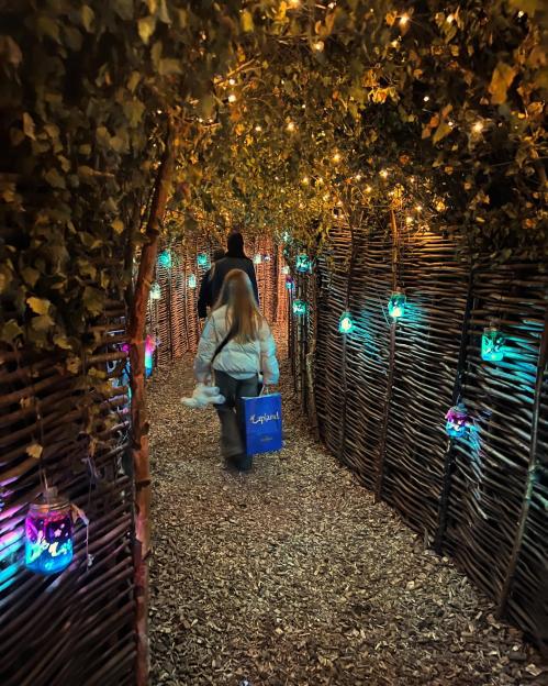 People walking through a festive, illuminated tunnel.