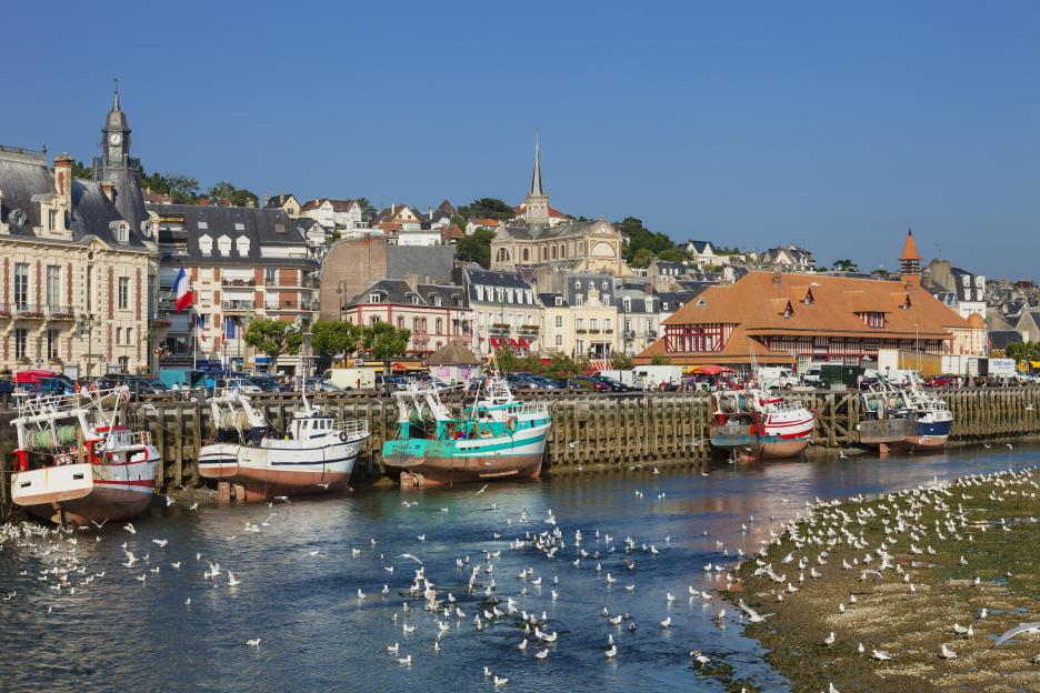several boats are docked in a harbor with a city in the background