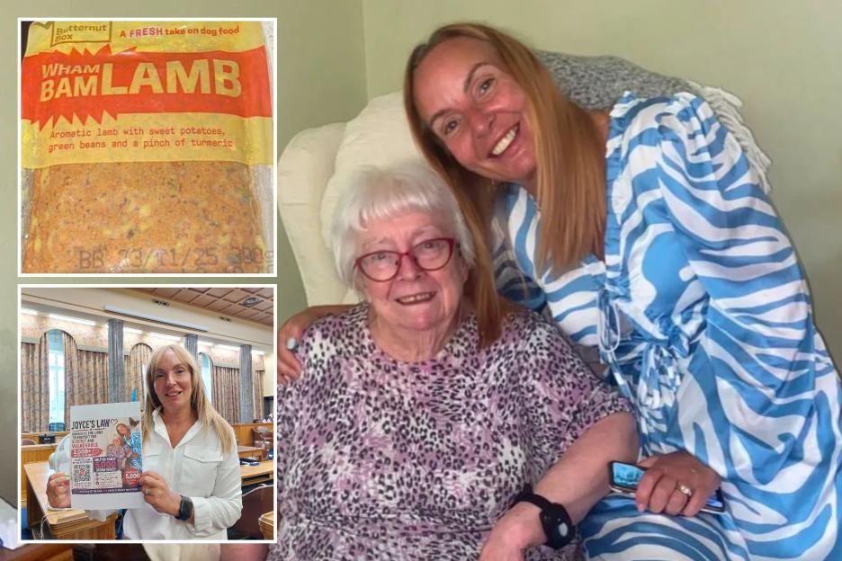 "Tragic Care Failures: My 96-Year-Old Mum Fed Microwaved Dog Food Weeks Before Her Passing"