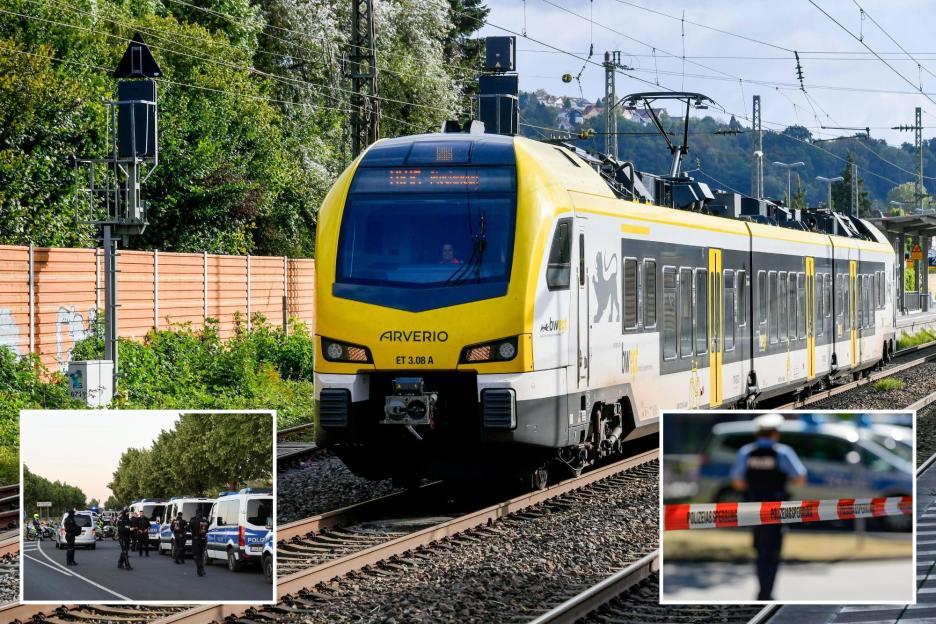 Security Guard, 26, Plunges from 75mph Train After 'Brutal Attack' and Door Flung Open