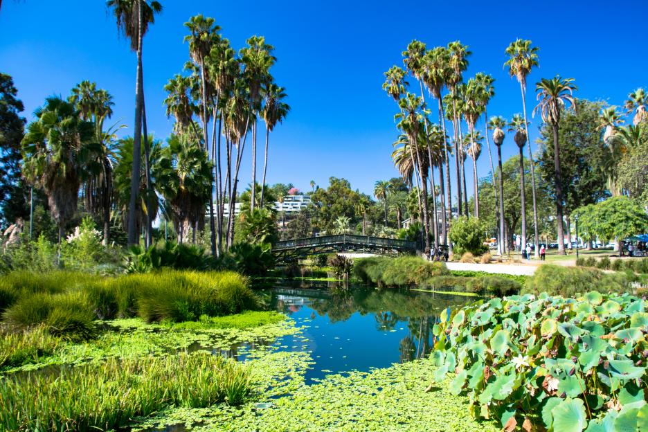 Bridge over greenery and lake in Echo Park, Los Angeles.