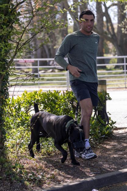 Jack Fincham walks his muzzled dog, Elvis, next to some bushes and a white fence.