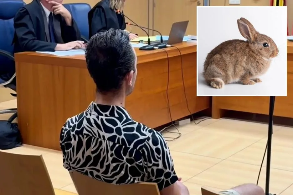 Monster boyfriend admits forcing girlfriend to watch him slaughter her pet rabbit before trying to make her EAT it