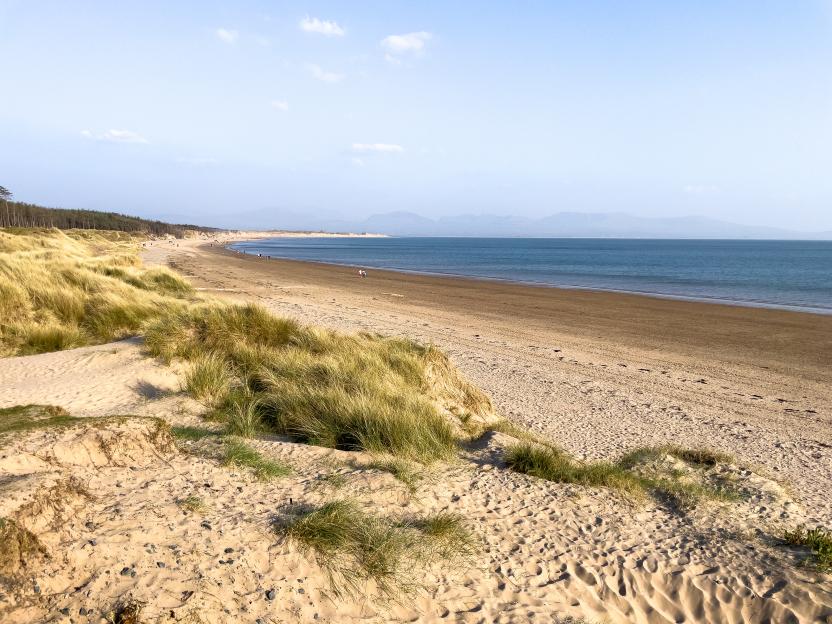 Long sandy beach with dunes and a forest on the left, and distant mountains across the sea.