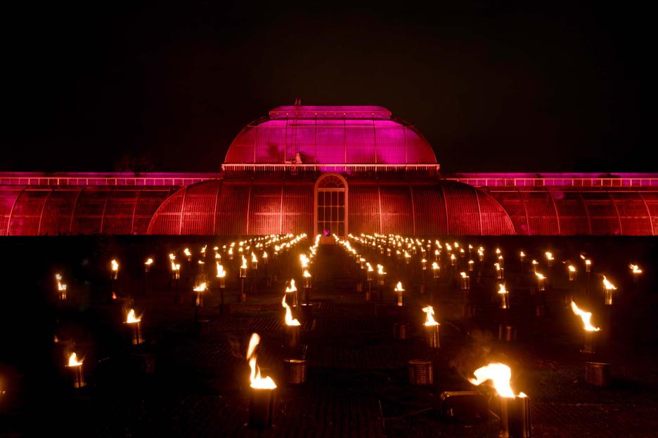 Greenhouse illuminated in pink, with rows of torches in front at night.
