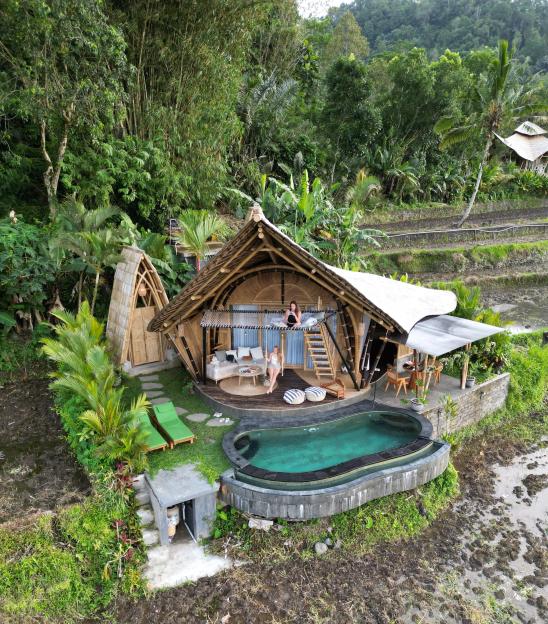 NINTCHDBPICT001073927776