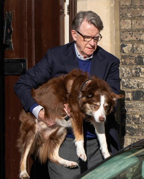 Emails Reveal Peter Mandelson's Return to the UK Was Delayed by His Dog