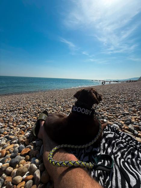 A dog named Scooby and a person relaxing on a pebble beach with the sea in the background.