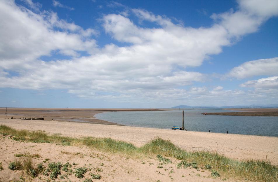 Heroic Rescue Turns Tragic: Woman in Her 60s Dies and Man Fights for Life After Attempting to Save Dog from the Sea