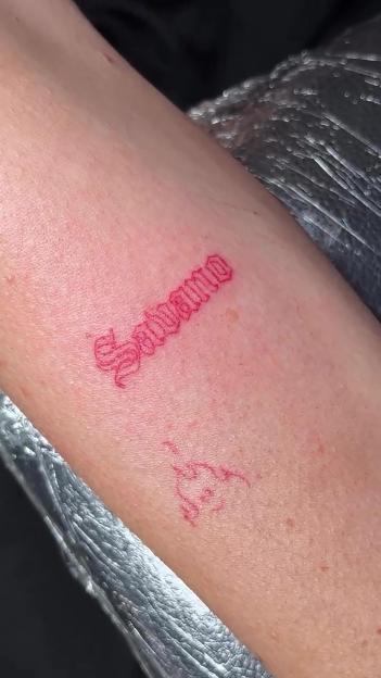 NINTCHDBPICT001076477823