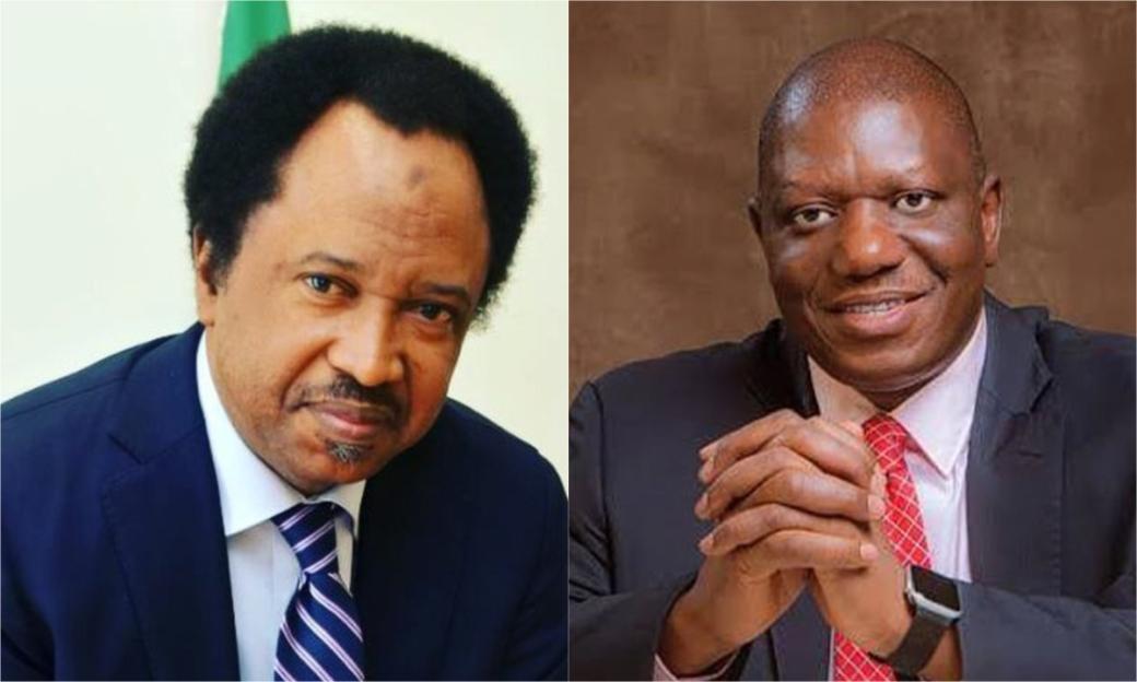 Marshall Katung and Shehu Sani Triumph in Kaduna's APC Senatorial Primaries