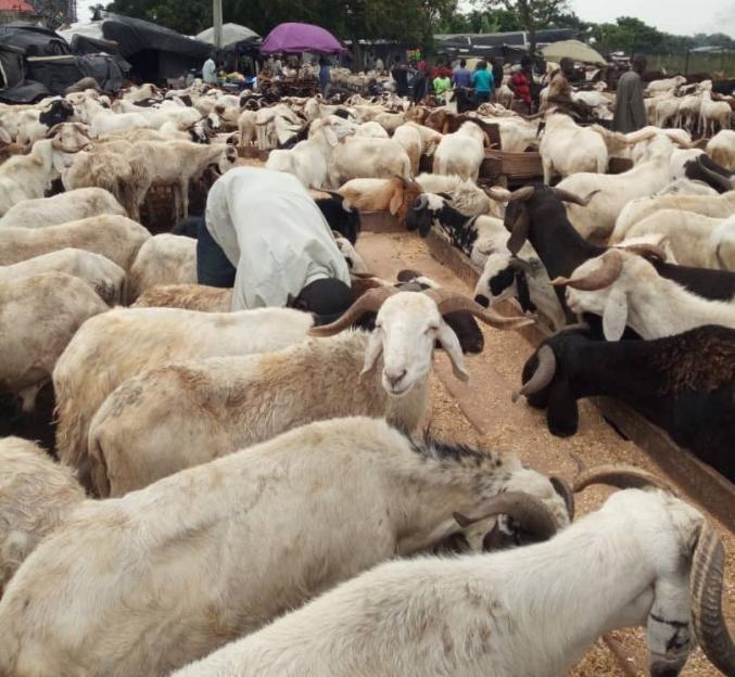 'Kaduna Residents Grieve as Food and Ram Prices Soar'
