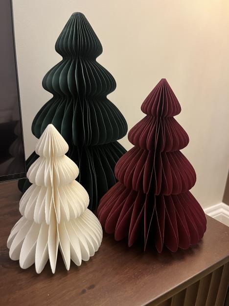 NINTCHDBPICT001044535120