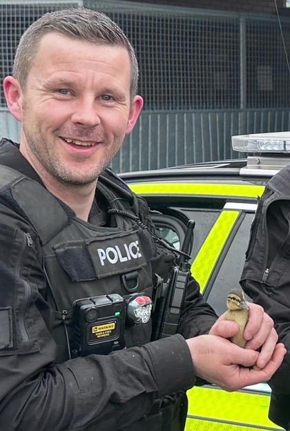 Police Constable Tom Clough smiling and holding a small chick in his cupped hands.
