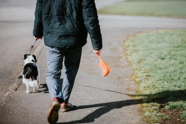 New £100 Fine for Dog Walkers Without Poo Bags Introduced in UK Coastal Hotspot