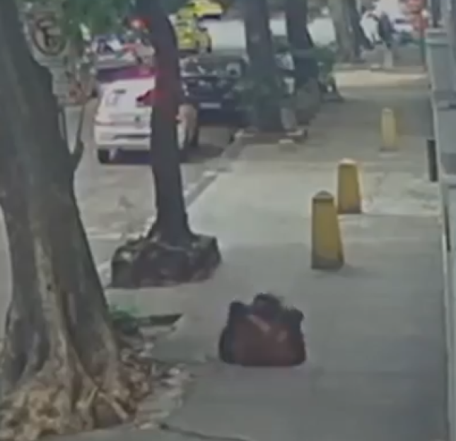Shocking Moment: 31-Year-Old Woman Plunges into Manhole on Her Commute, Just Hours After Attempted Cover Theft