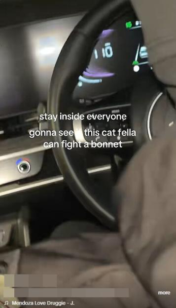 A view from the driver's seat of a car showing the speedometer at 110, with text overlay: "stay inside everyone gonna see this cat fella can fight a bonnet".