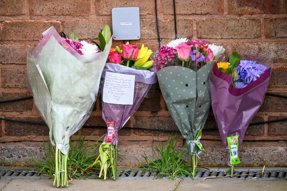 Woman, aged in her 70s, dies after being attacked by two dogs at house