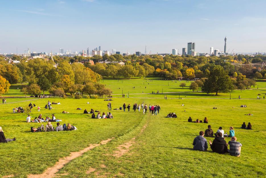 London skyline viewed from a park with people relaxing on the grass.