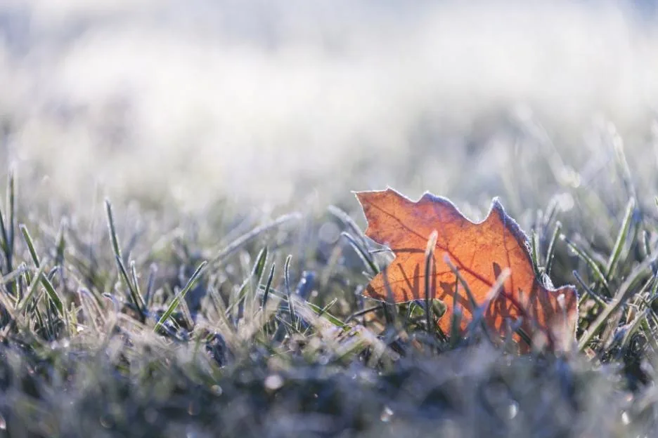 Map reveals where ‘first frost’ will arrive in UK overnight as Arctic air to bring ‘coldest night of autumn so far’