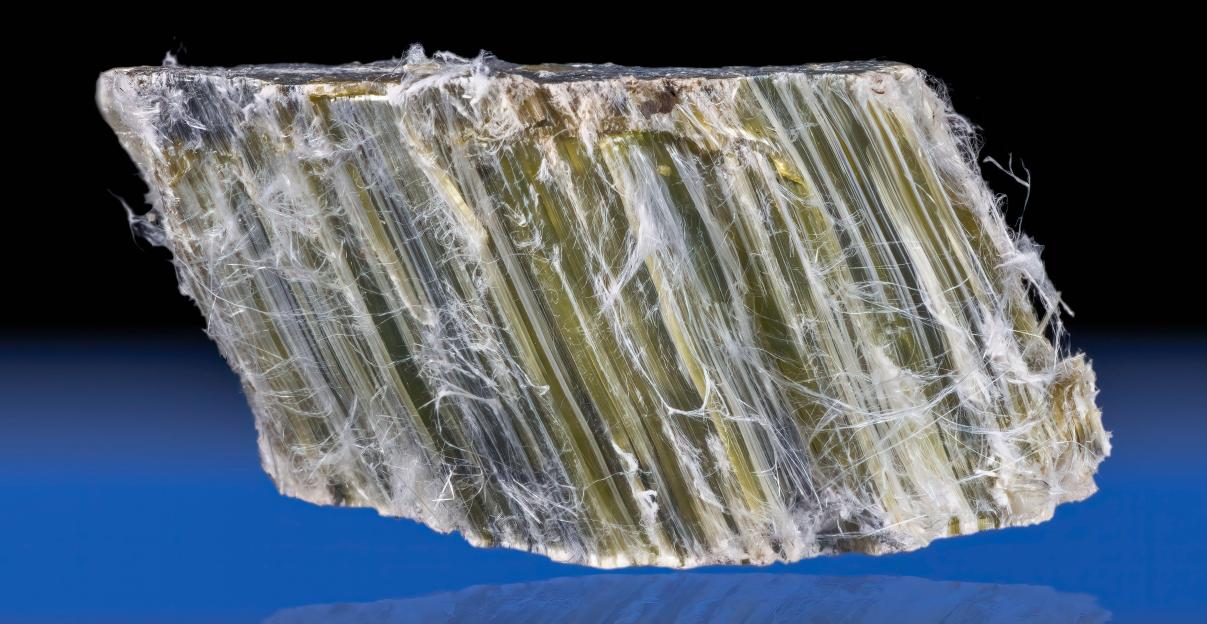 NINTCHDBPICT001069290014