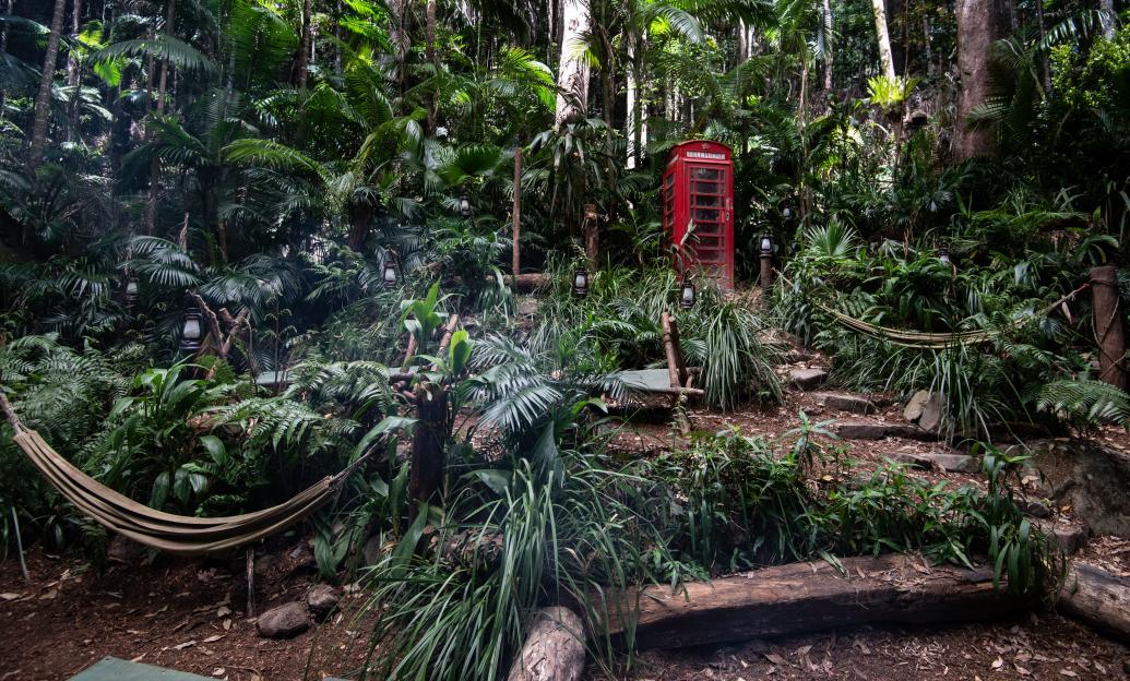 'I'm a Celebrity¿ Get Me Out of Here!' TV Show, Camp, Series 18, Australia - 15 Nov 2018