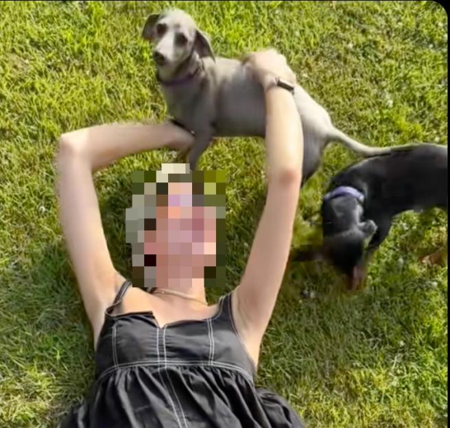 A pixelated woman lying on grass with two dachshunds.