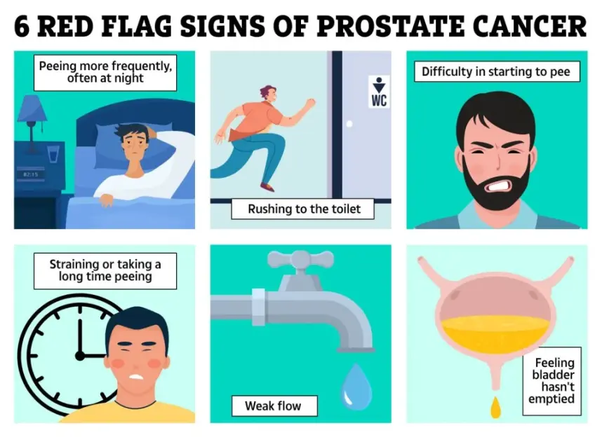 Illustration of 6 red flag signs of prostate cancer: peeing more frequently, rushing to the toilet, difficulty in starting to pee, straining or taking a long time peeing, weak flow, and feeling the bladder hasn't emptied.
